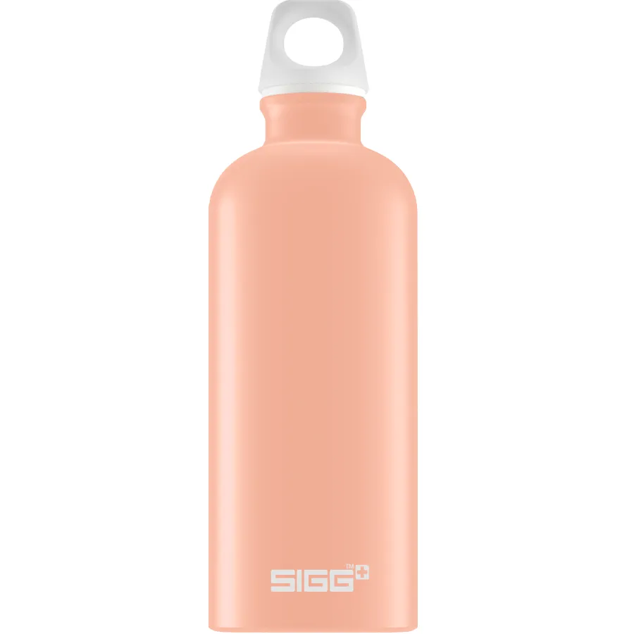 Classic SIGG Traveller Water Bottle - Aluminium