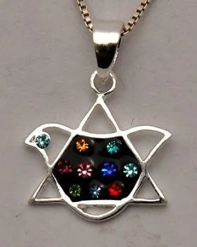 Magen David Pigeon Pendant Black With Colors Gemstone Silver 925.