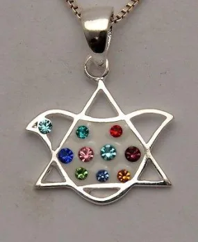 Magen David Pigeon Pendant Clear With Colors Gemstone Silver 925.